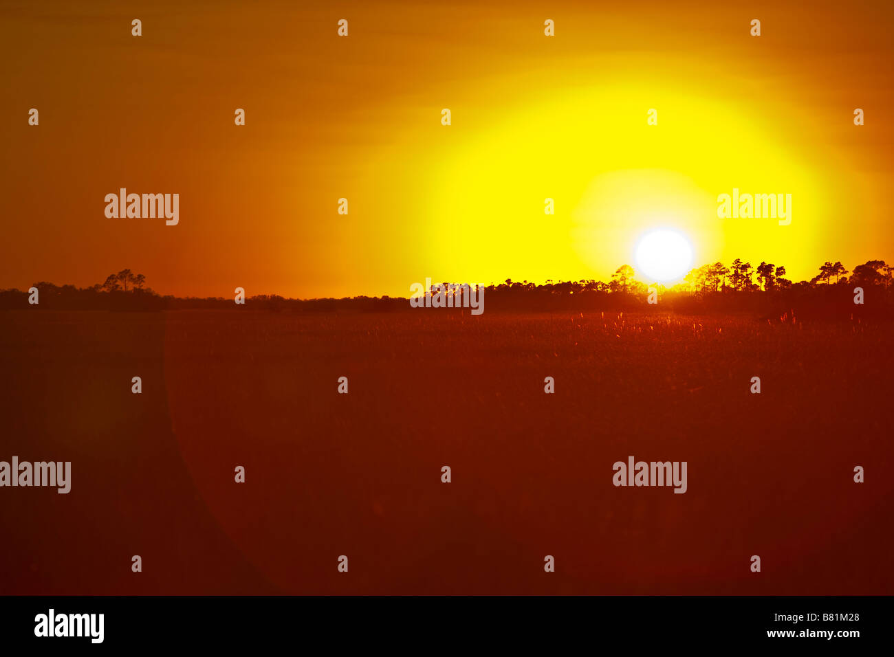 EVERGLADES FLORIDE USA - coucher de soleil dans le parc national des Everglades Banque D'Images