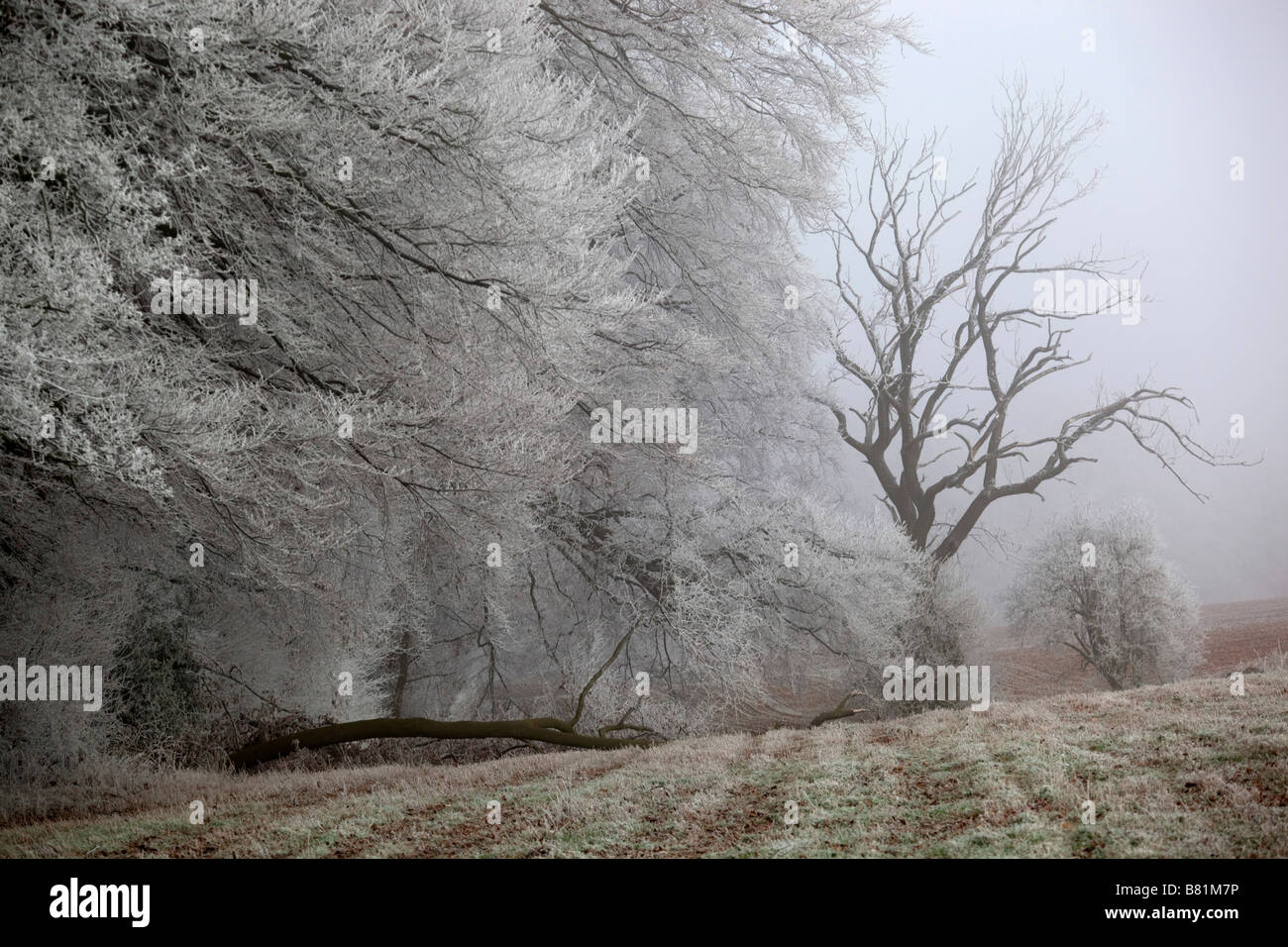 Couverture hiver glacial cotswolds Banque D'Images