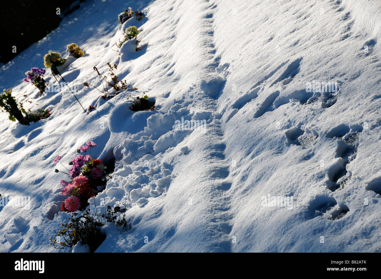 Stock photo d'empreintes sur un chemin dans la neige cimetière menant à une tombe où des fleurs ont été déposées Banque D'Images