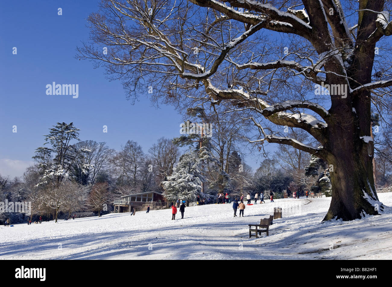 Parc Dunorlan à Tunbridge Wells Kent Angleterre suite à l'accumulation de neige qui a frappé le Royaume-Uni en février 2009 Banque D'Images