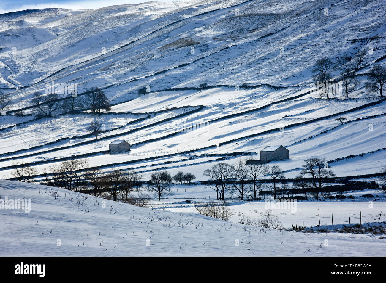 Domaine des granges dans la neige, près de Kettlewell, Yorkshire Dales National Park, Royaume-Uni Banque D'Images