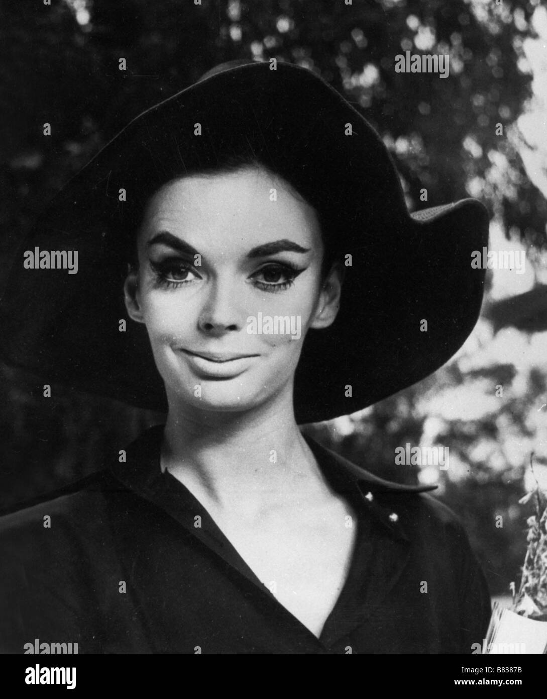 Barbara Steele Barbara Steele Barbara Steele Photo Stock Alamy