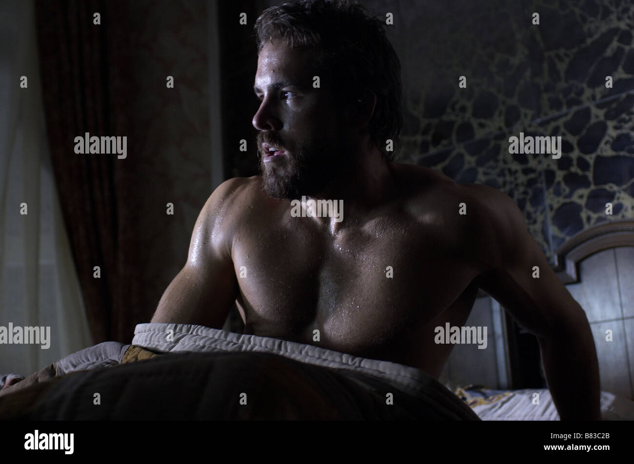 L'Amityville Amityville Horror Année : 2005 - USA Ryan Reynolds Réalisateur : Andrew Douglas Banque D'Images