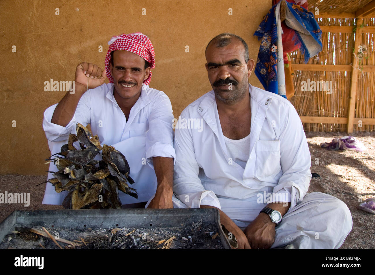 Cheiks bédouins posent avec le poisson séché dans le village de Ras Abu Gallum, au nord de la station balnéaire de Dahab Sinai en Egypte Banque D'Images
