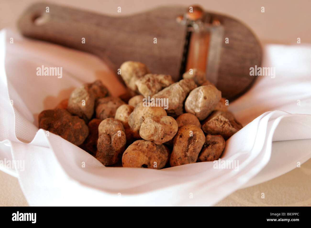 Un bol de la truffe blanche ou Tuber magnatum (truffe d'Alba) sur l'affichage dans un restaurant en Slovénie Banque D'Images