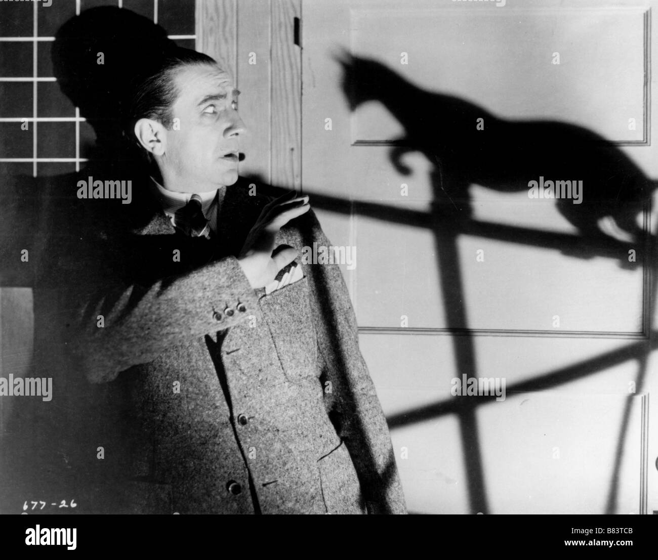 Le Chat Noir Année : 1934 USA Bela Lugosi Réalisateur : Edgar G. Ulmer Banque D'Images