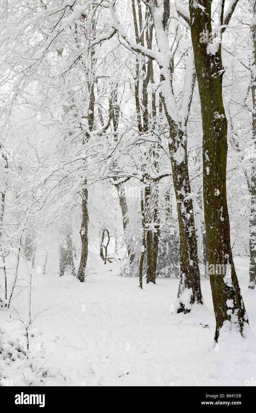 Le poids de la neige crée un Winter Wonderland, Londres Banque D'Images
