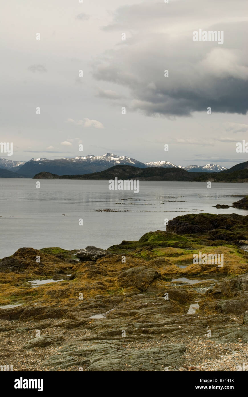 Vue sur le canal de Beagle Banque D'Images