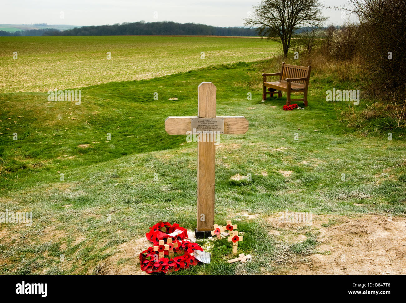 La zone autour de Lochnagar Crater Somme de bataille. Les coquelicots et marque le lieu de sépulture d'un soldat que très récemment découvert Banque D'Images