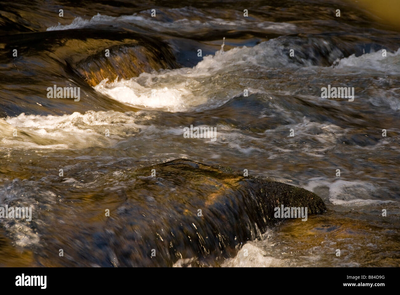 Rapids blancs de l'eau, de la rivière Teign, Dartmoor. Devon, Angleterre, Europe Banque D'Images
