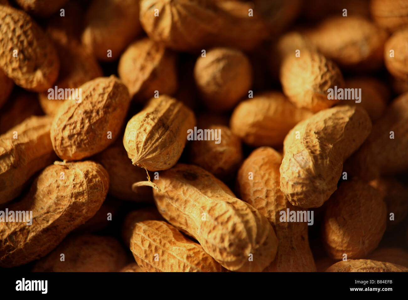 Close up of Monkey nuts Banque D'Images