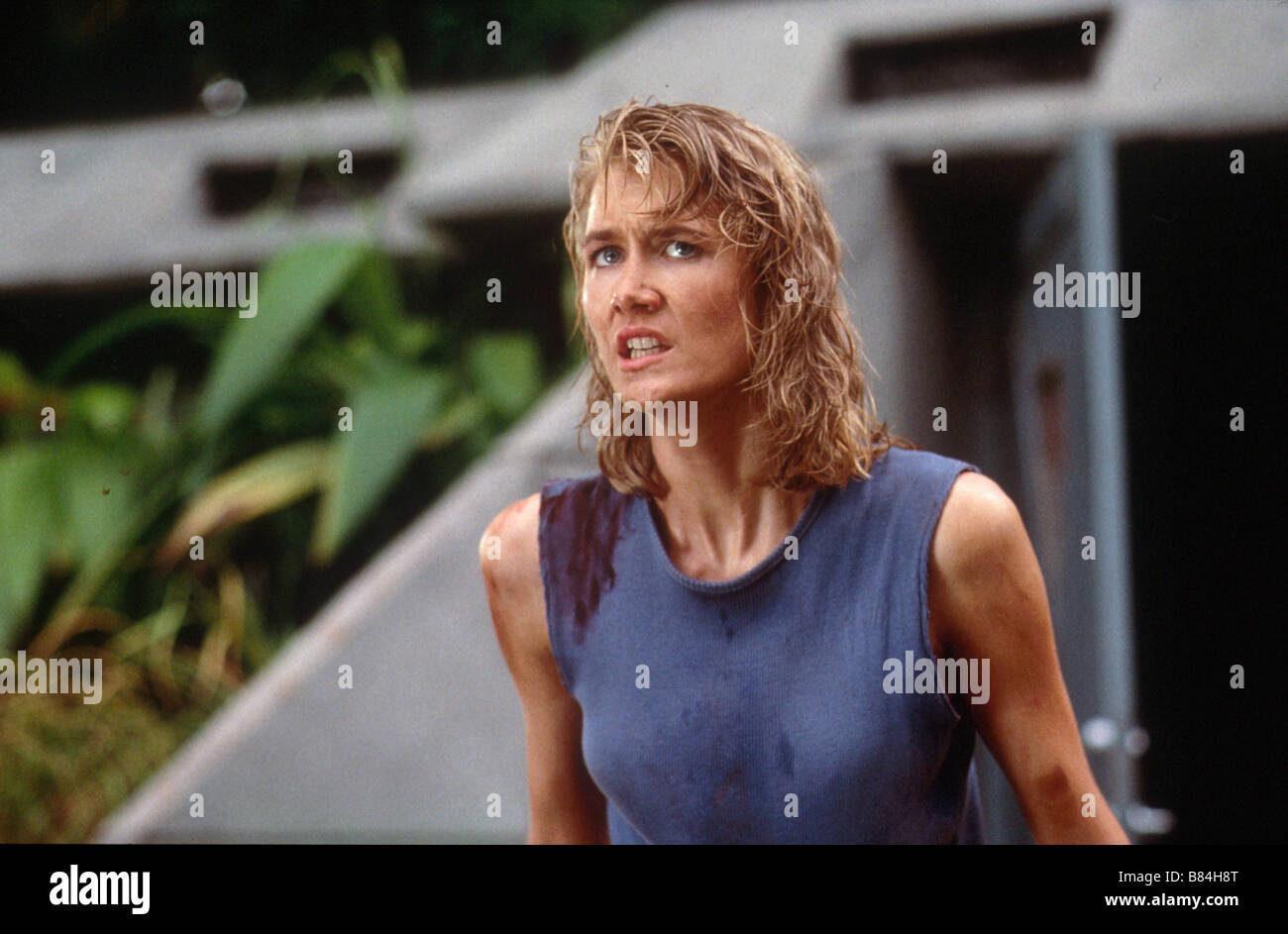 Jurassic Park Année : 1993 USA Réalisateur : Steven Spielberg Laura Dern Banque D'Images