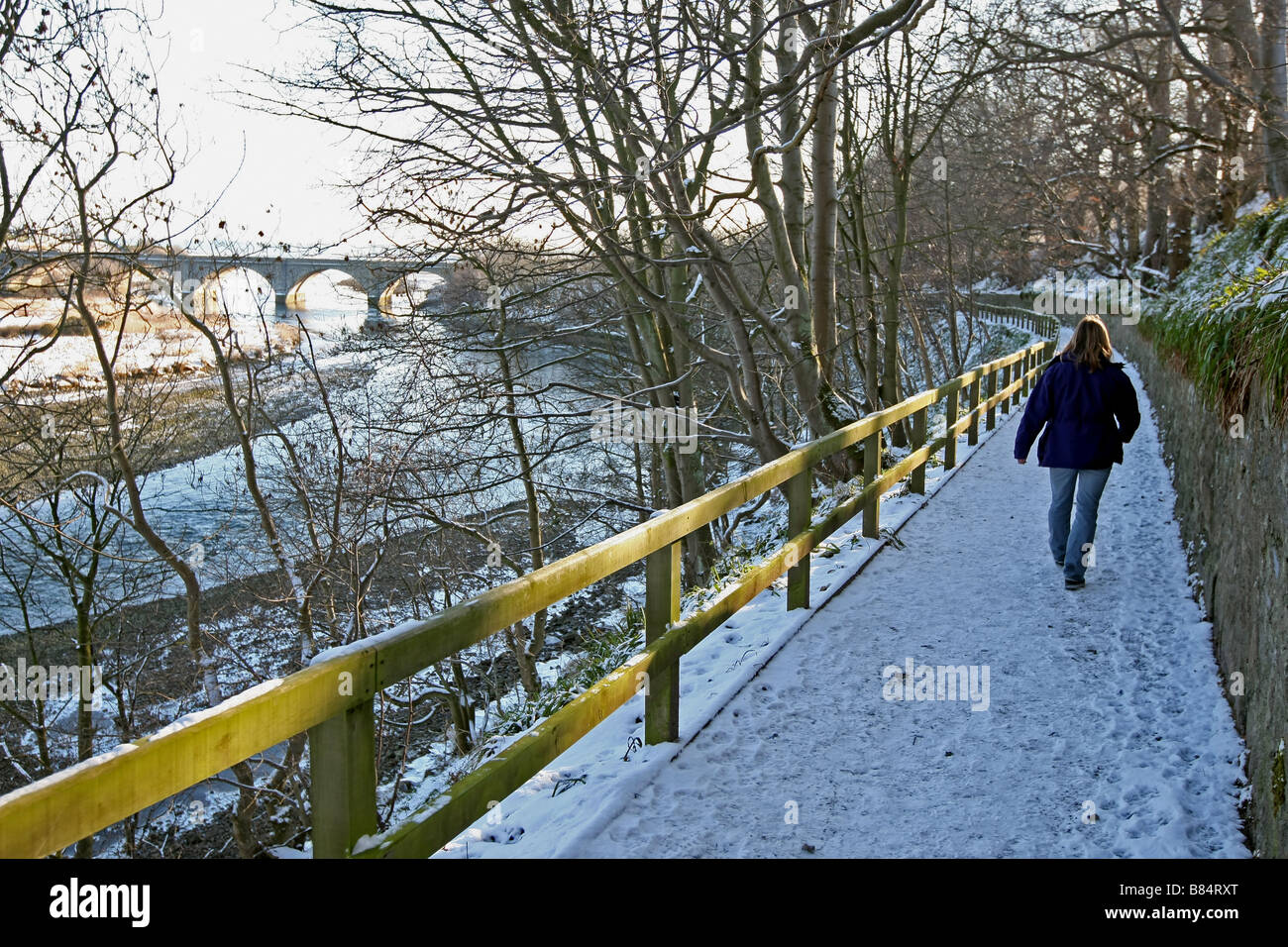 Walker à Donmouth à côté de la rivière Don dans la ville d'Aberdeen, Écosse, Royaume-Uni au cours de l'hiver avec la neige sur les rives du fleuve. Banque D'Images