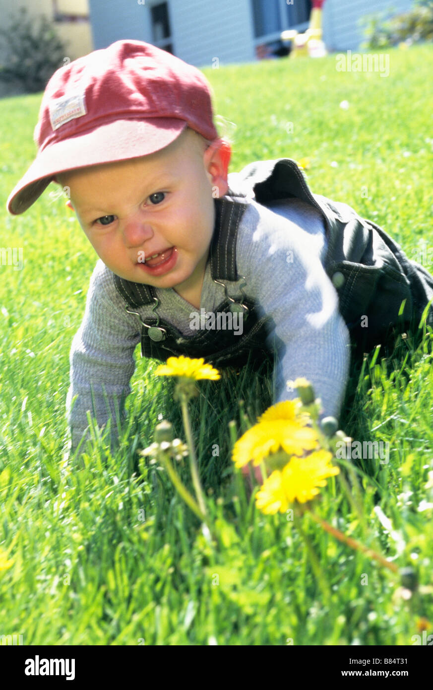 Baby dans red hat avec dandelion Banque D'Images