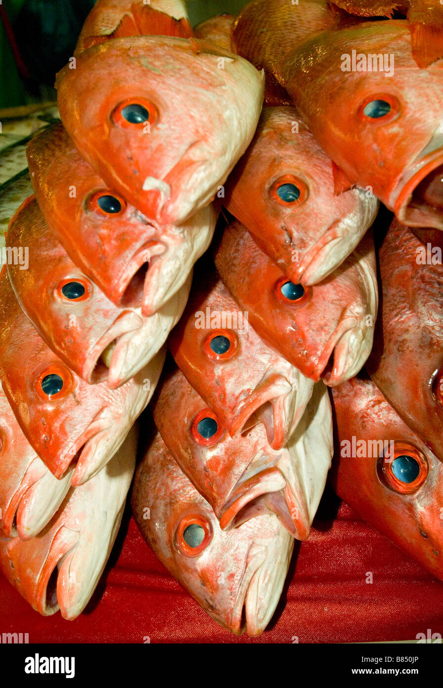 MAZATLAN SINALOA MEXIQUE STAE Mercado Central Marché Municipal marchands de poissons frais de vente red snapper Old Mazatlan Banque D'Images