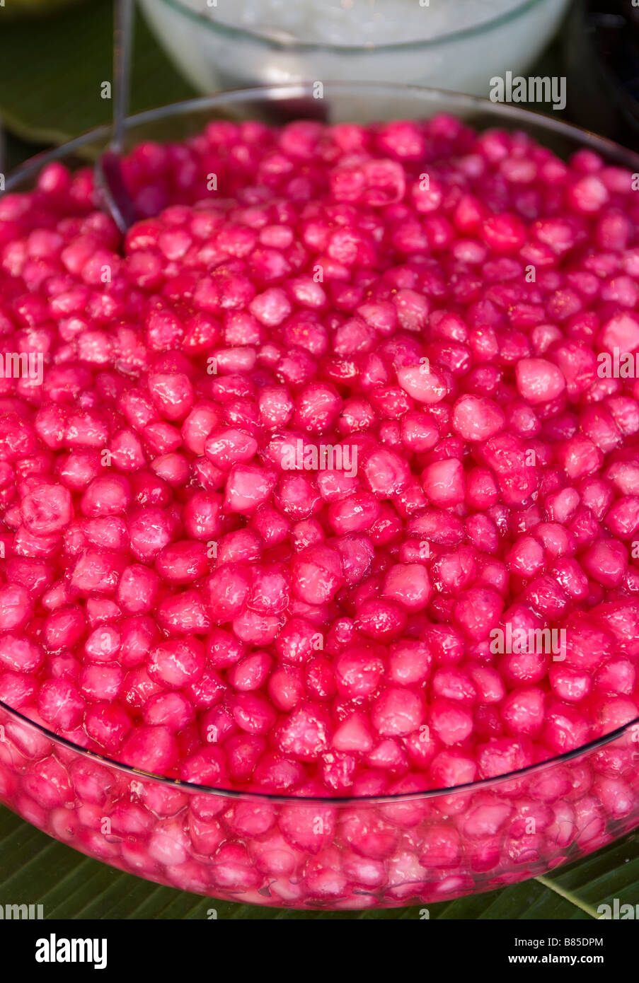 Cheshnuts croquant Rubis (eau douce) marché de Chatuchak Bangkok Décrochage Banque D'Images