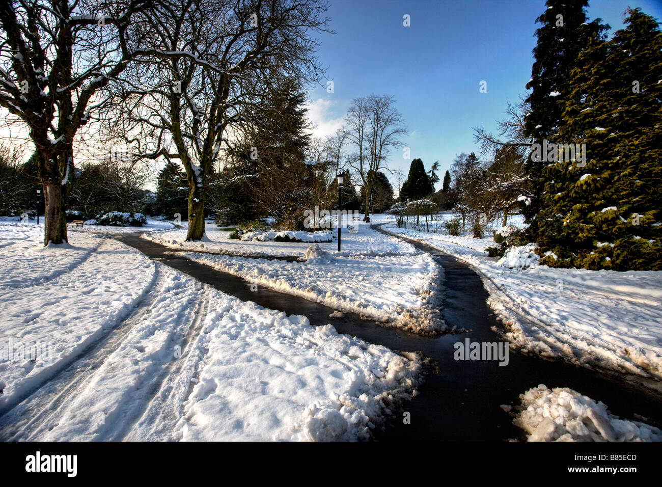 La grande neige, février 2009, Valley Gardens, Harrogate, North Yorkshire, Angleterre Banque D'Images