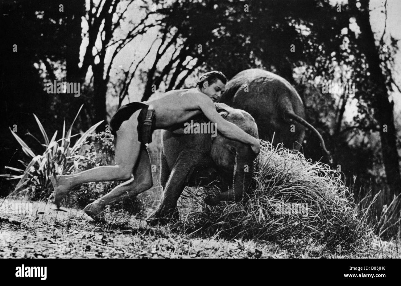 Tarzan trouve un fils ! Année : 1939 - USA Johnny Weissmuller Réalisateur : Richard Thorpe Banque D'Images