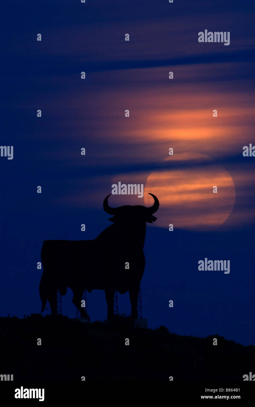 L'un des célèbres taureaux Osbourne en silhouette avec la hausse pleine lune derrière Banque D'Images