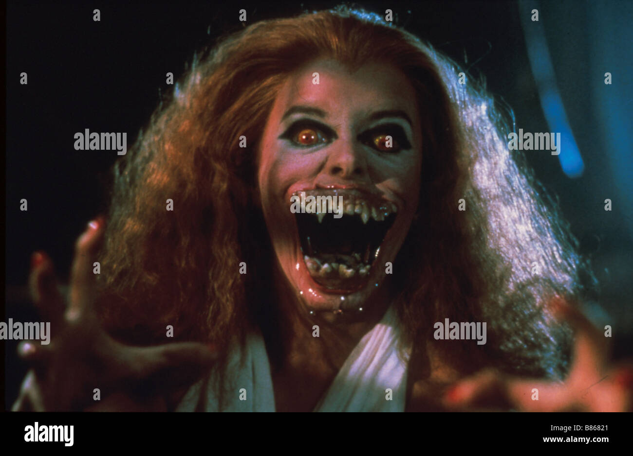 Comment On Dit Vampire En Anglais Vampire vous avez dit vampire ? Fright Night Année : 1985 - USA USA : 1985  Réalisateur : Tom Holland Photo Stock - Alamy
