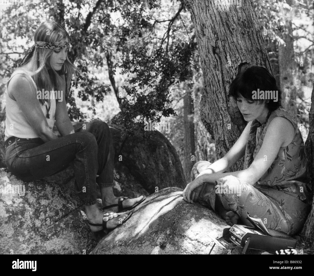 Matt Helm régle son compte l'équipe de relevage, le (1969) USA Sharon