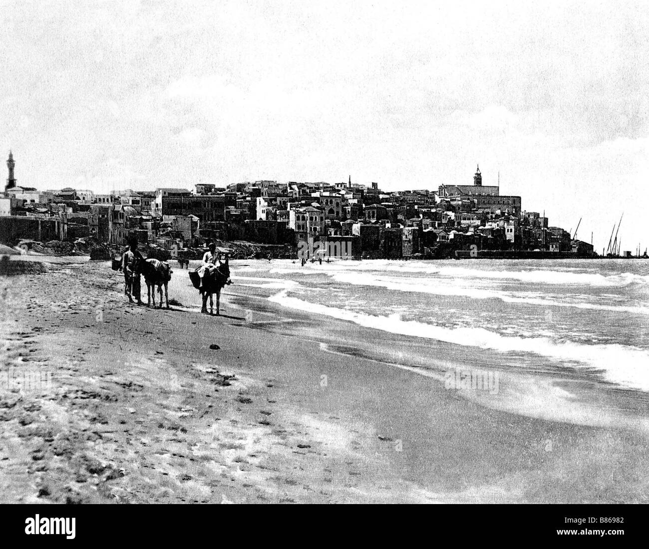 Ancien Tirage Albuminé Original – Promenade Des Pins, Beyrouth – Félix Bonfils, Vers 1880