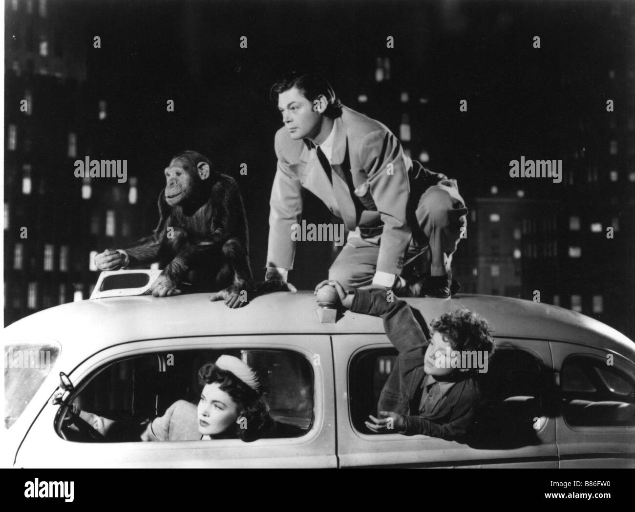 Les Aventures De Tarzan A New York Les aventures de Tarzan a new york Tarzan's New York Adventure Année : 1942  USA - USA Johnny Weissmuller, Maureen O'Sullivan, Johnny Sheffield  Réalisateur : Richard Thorpe Photo Stock - Alamy