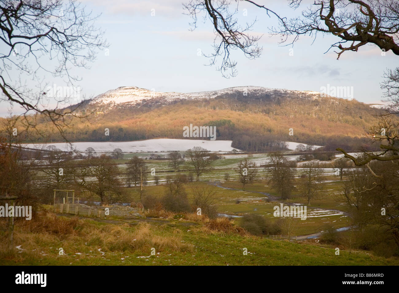 L'Herefordshire (Camp britannique) dans les collines de Malvern, neige-couvertes, de Eastnor Park Banque D'Images