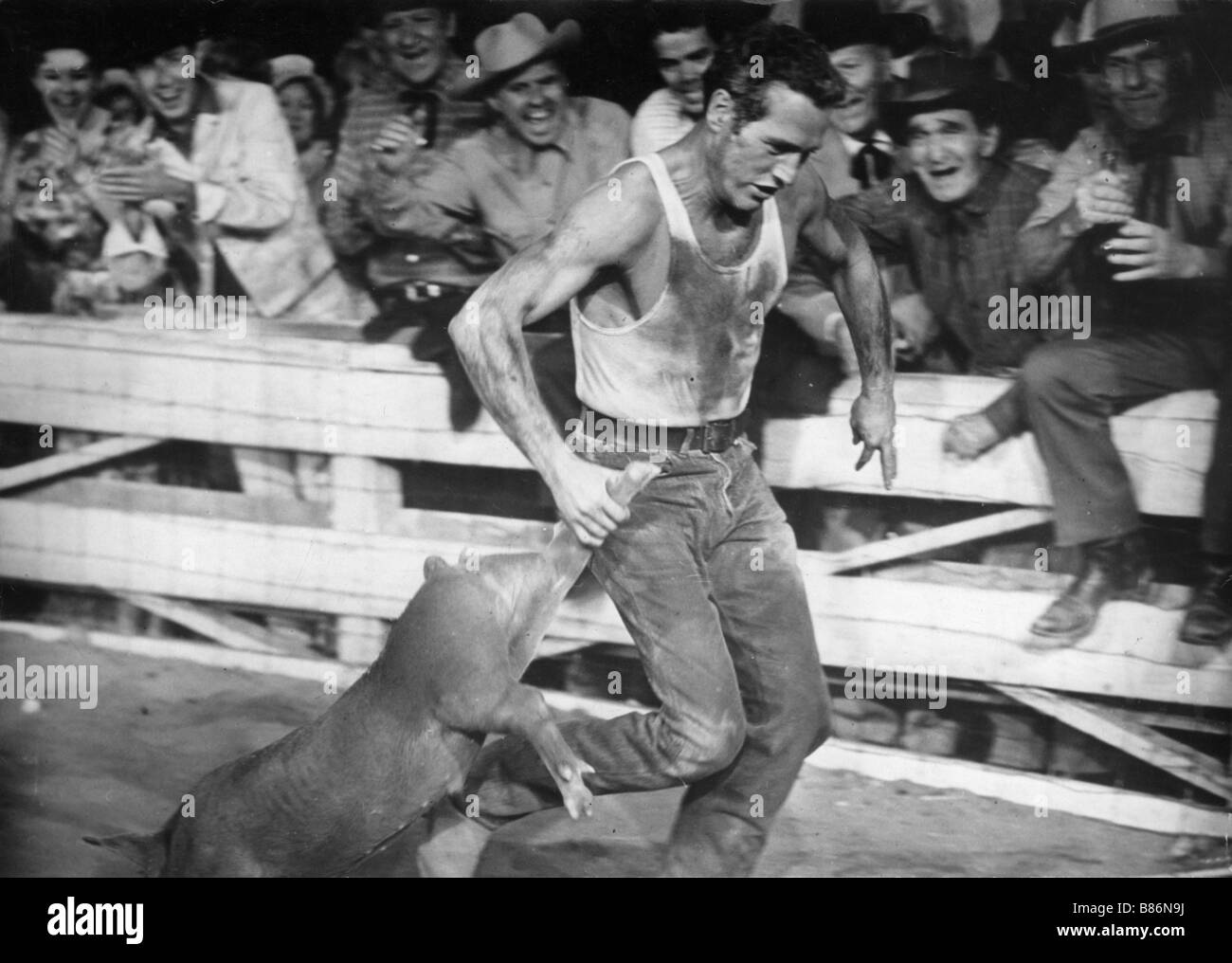 Année : 1963 Hud - USA Paul Newman , Melvyn Douglas Directeur : MARTIN Ritt Banque D'Images
