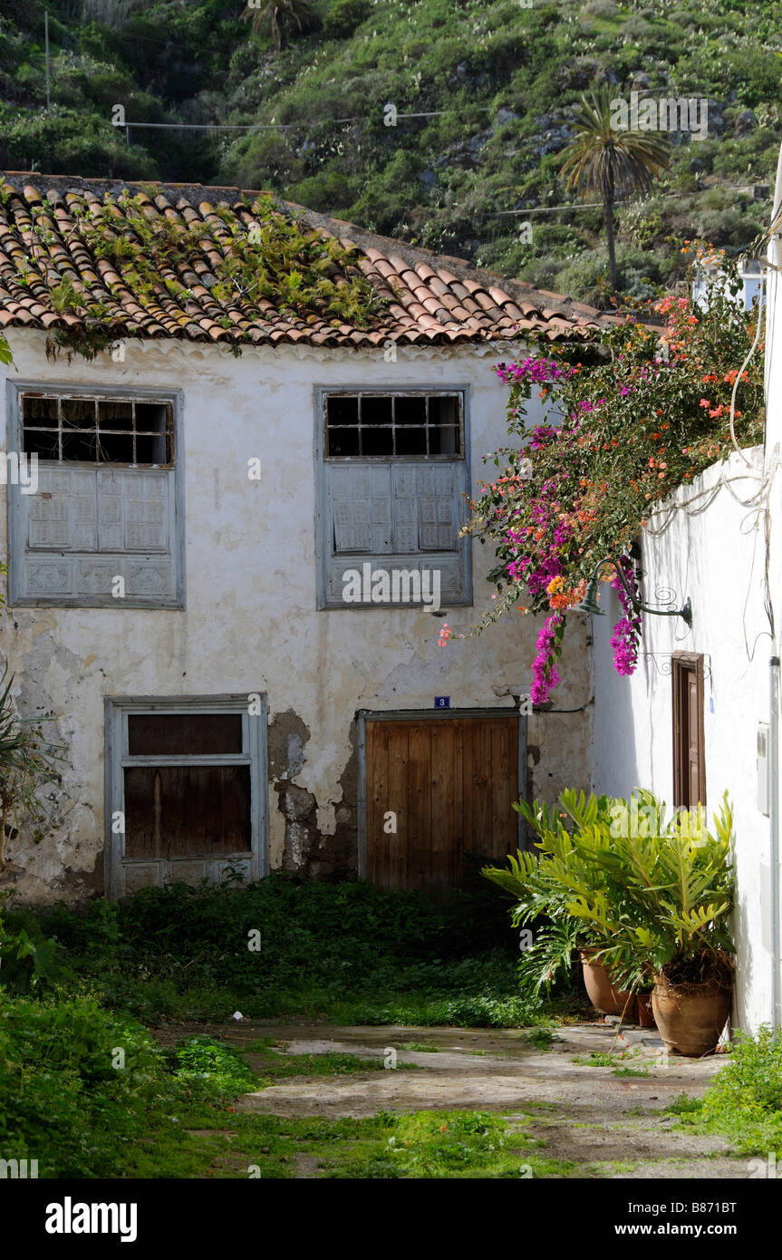 Propriété en terrasses à flanc de montagne avec jardin luxuriant à Icod de los Vinos Tenerife nord Banque D'Images