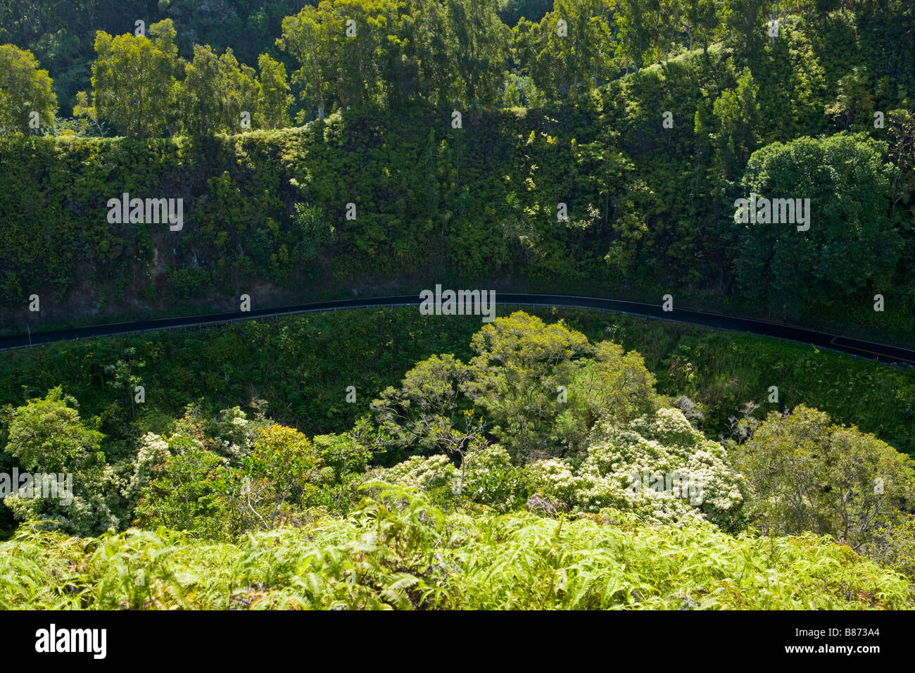 Une vue plongeante sur la route de Hana Maui Hawaii sur North Banque D'Images