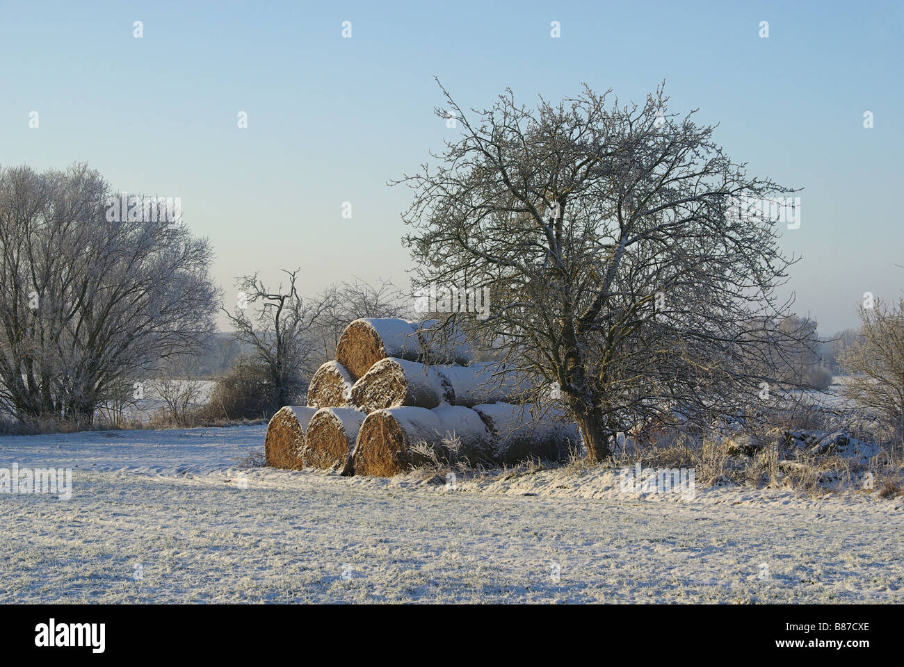 Strohballen im Schnee botte de paille dans la neige 01 Banque D'Images