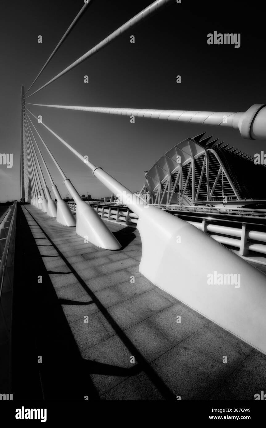 'L'Assut de l'Or' bridge et Museu de les Ciències Príncipe Felipe (Musée des sciences). Cité des Arts et des Sciences. Valence. Espagne Banque D'Images