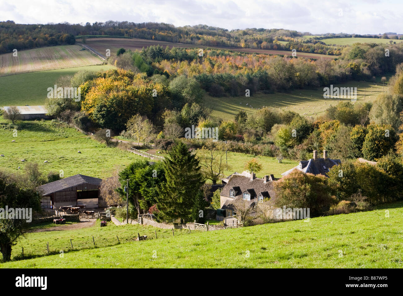 L'automne sur les Cotswolds à moindre Harford Farm, près de Naunton, Gloucestershire Banque D'Images