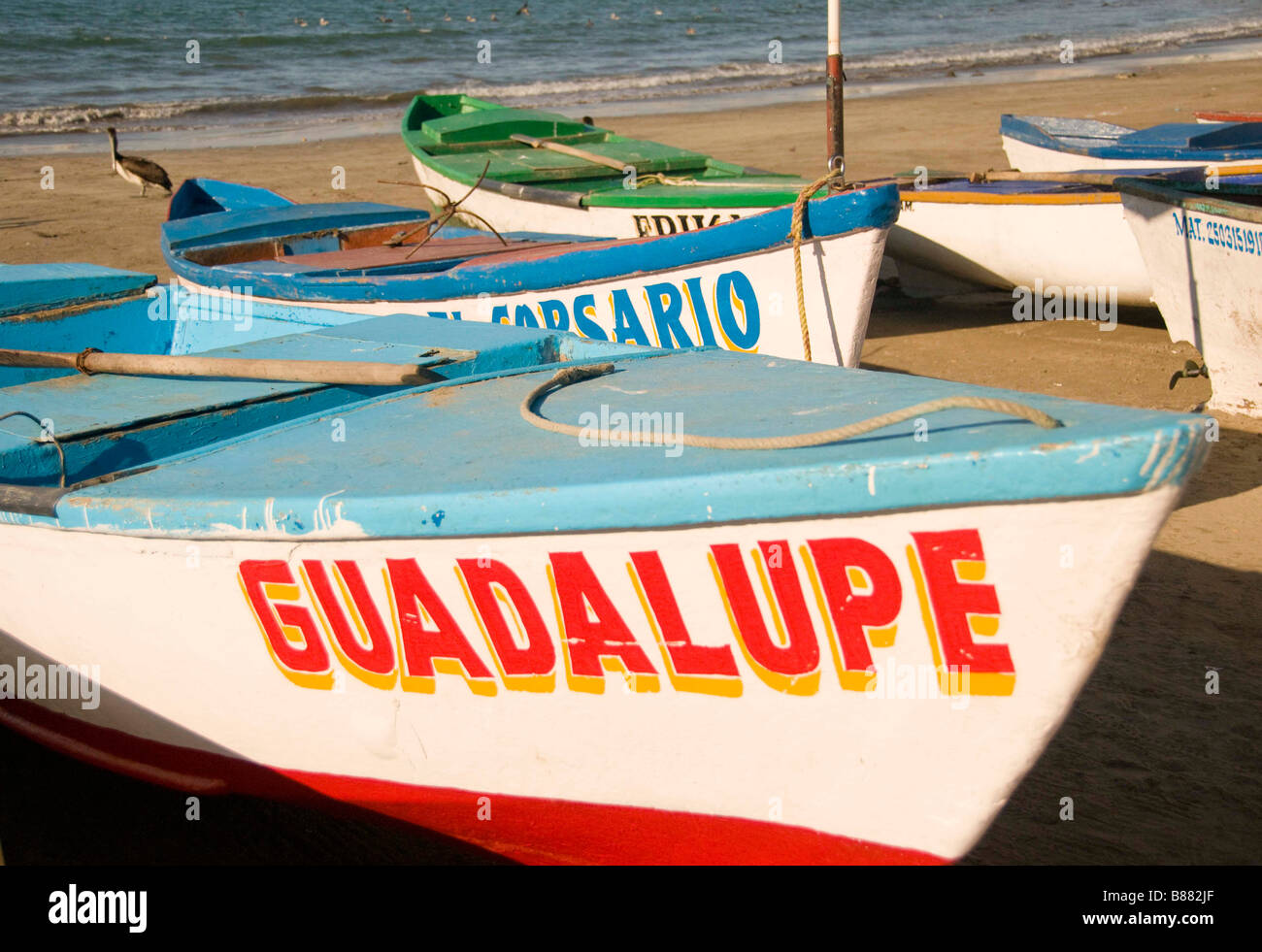 Mexique Mazatlan Sinaloa STATE flotte de petits bateaux de pêche colorés sur Olas Altas beach. Vieux Mazatlan Banque D'Images