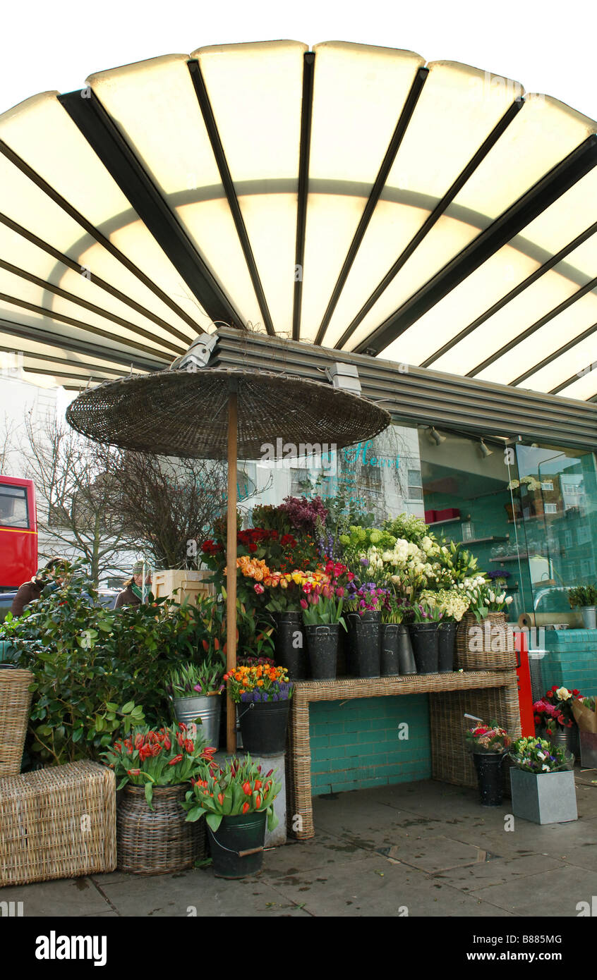 Wild at Heart Flower Shop sur île Turquoise Westbourne Grove, Notting Hill. Banque D'Images