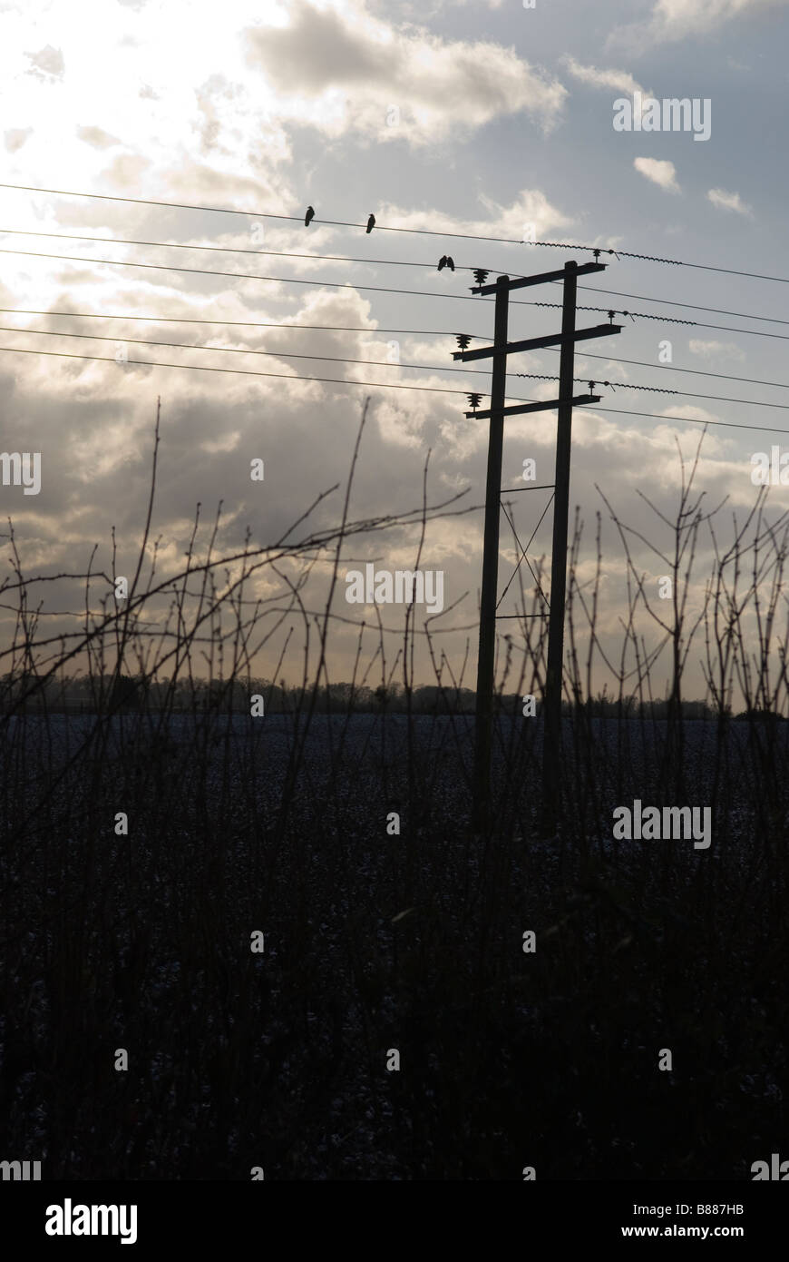 lignes électriques Banque D'Images