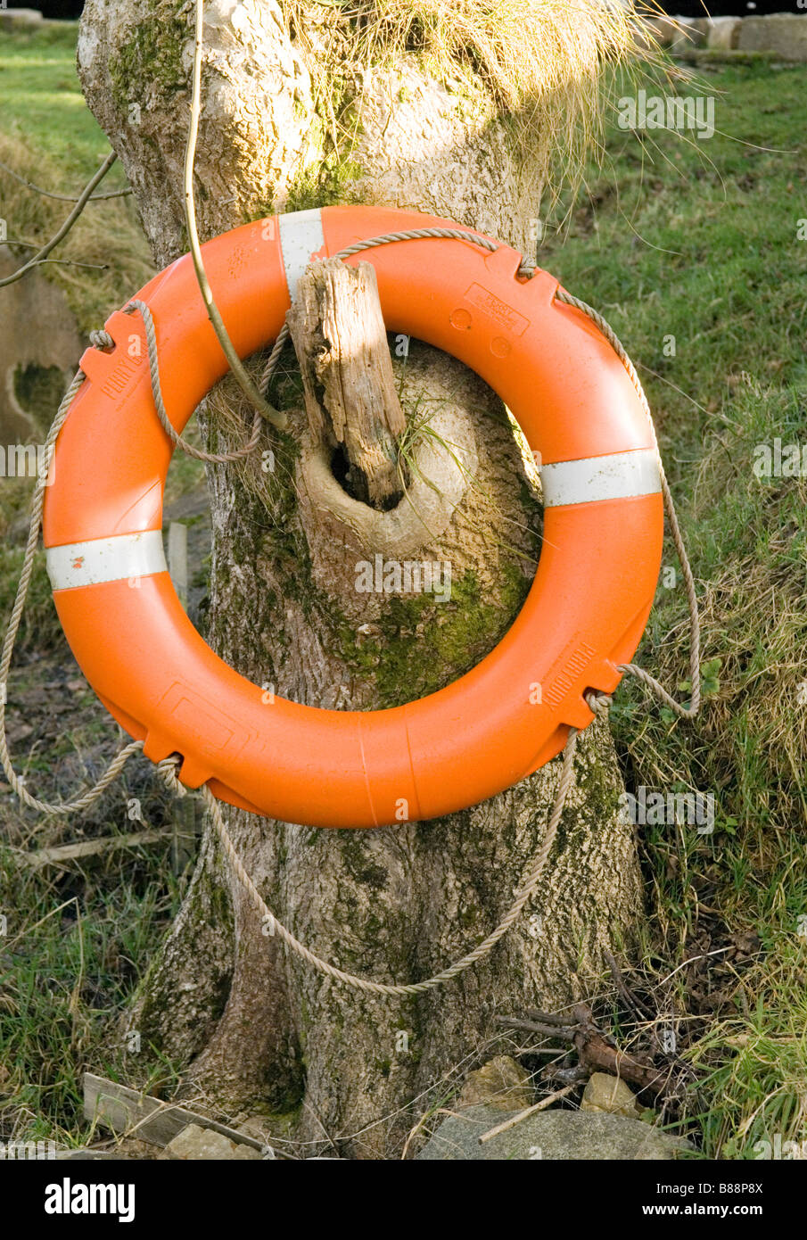 Bouée Orange accroché sur la vieille souche d'arbre,Argyll, Ecosse, Royaume-Uni Banque D'Images