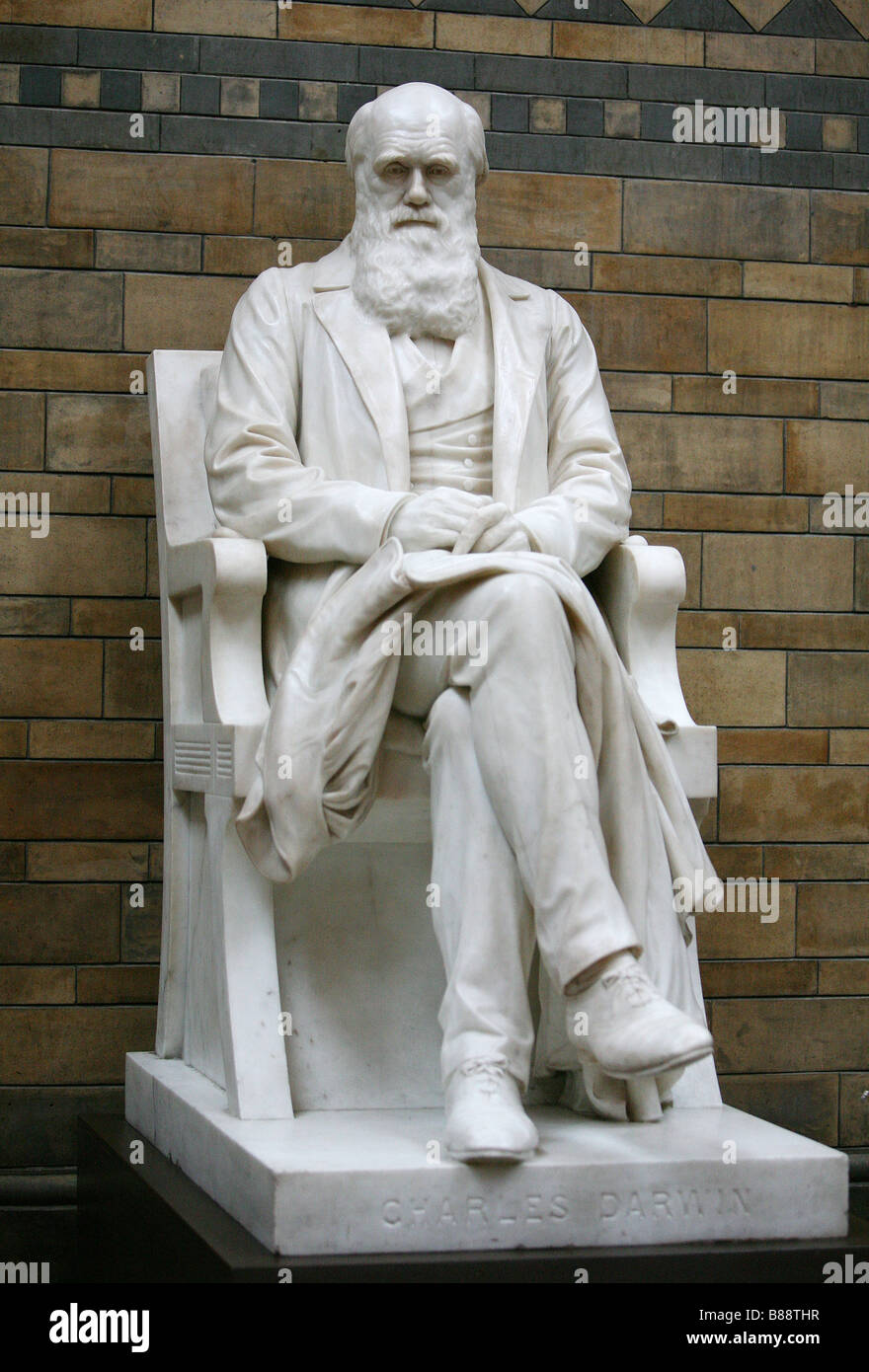 Une statue de Charles Darwin - qui a découvert la sélection naturelle - siège au Natural History Museum de Londres. Banque D'Images