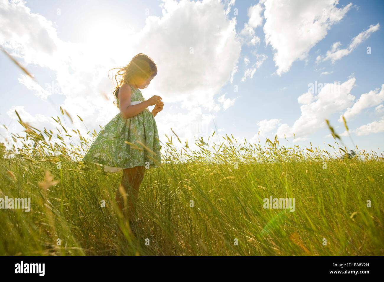 Jeune fille dans un champ herbeux au Dakota du Nord Banque D'Images