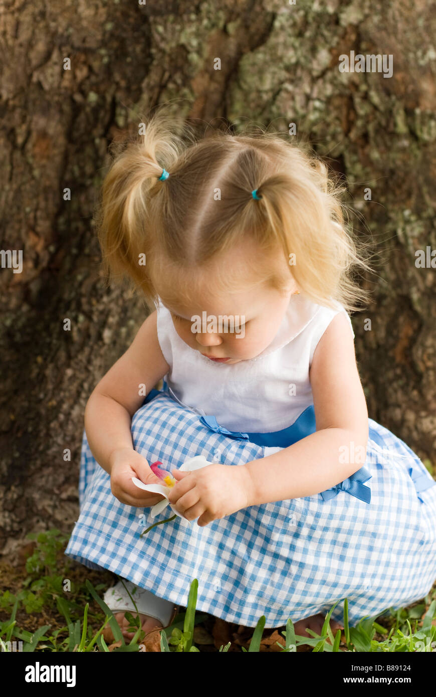 Petite fille jouant à côté de tree Banque D'Images