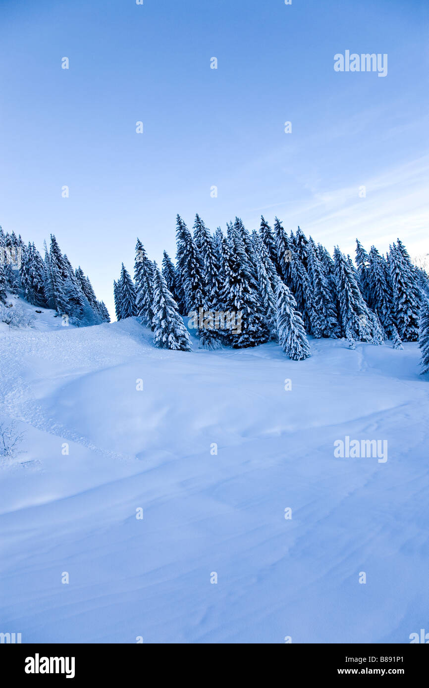 Paysage alpin spectaculaire avec des pistes couvertes de neige et les arbres Les Saises Alpes Françaises Banque D'Images