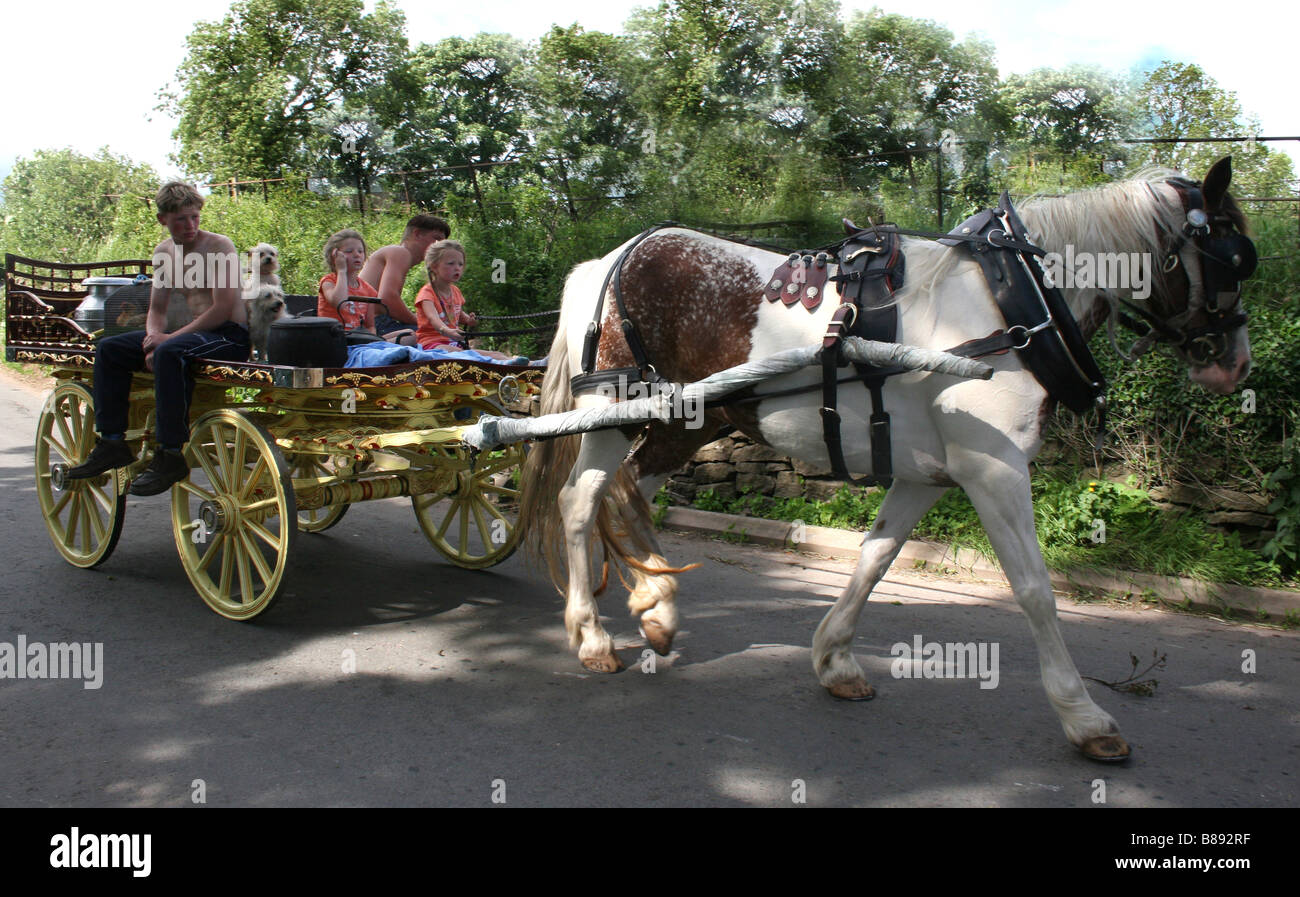 La conduite d'enfants tziganes cheval cob lane pays bas Banque D'Images