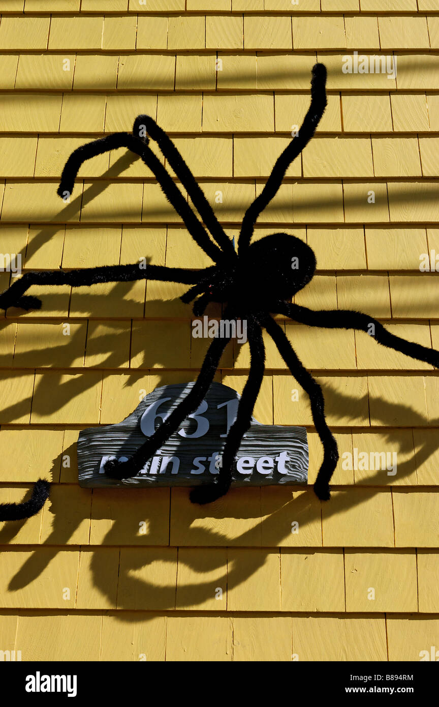 Les grandes araignées sur la fourrure à l'extérieur d'une maison comme décoration halloween Banque D'Images