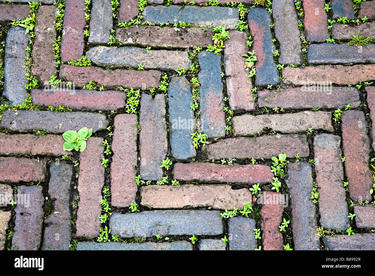 Chevrons de pierres utilisées en surface vieille rue Enkhuizen Pays-Bas Banque D'Images