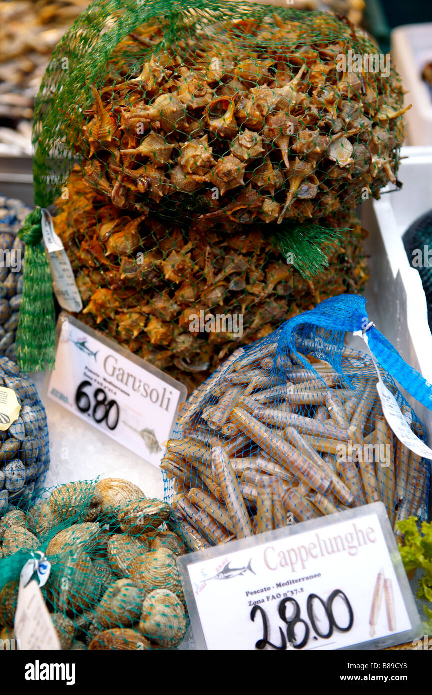 Les crustacés - Garusoli Cappelunghe [bigorneaux] - [couteaux] - Marché aux poissons du Rialto de Venise Banque D'Images