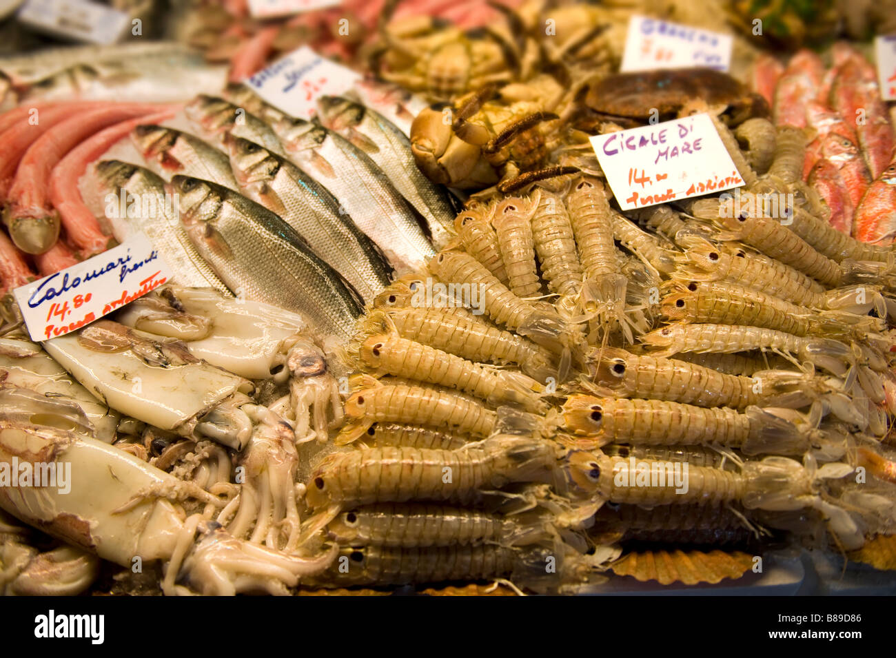 Décrochage du poisson - Marché aux poissons du Rialto de Venise Banque D'Images