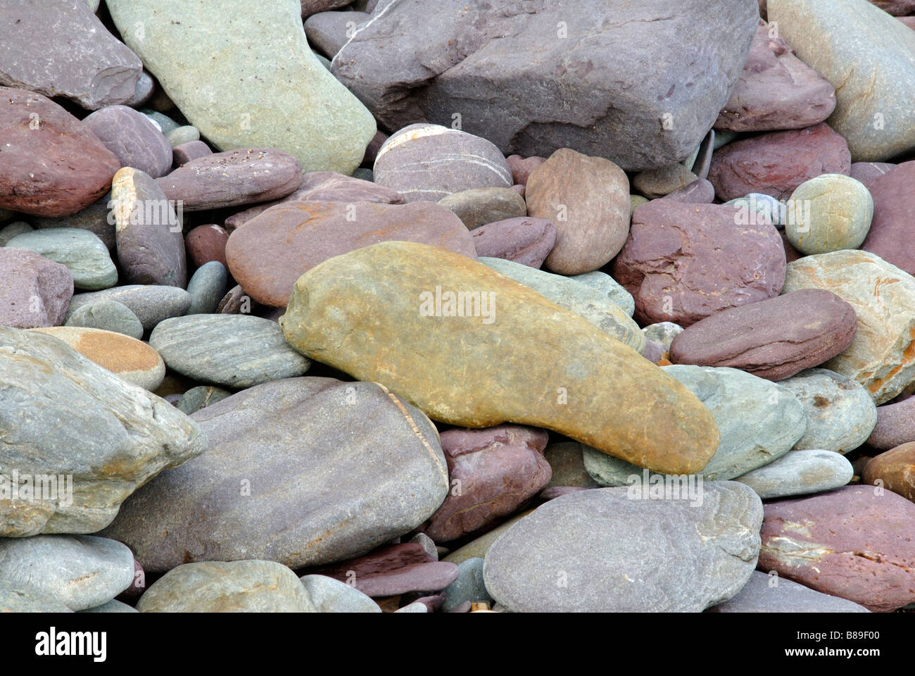 Galets sur la plage des couleurs pastel pierres roses de jaunes et de bleus couleurs de la nature Banque D'Images