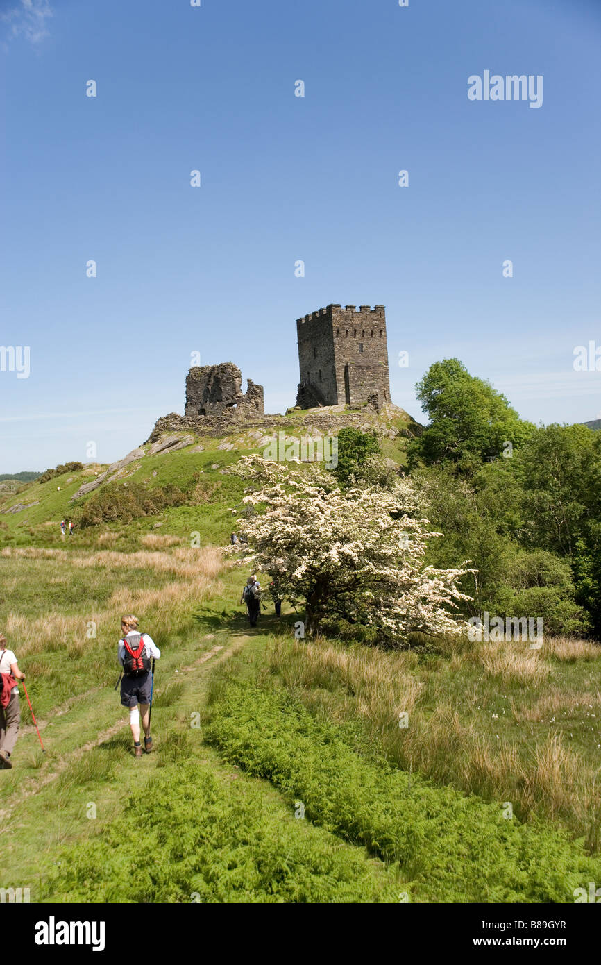 Château de Dolwyddelan situé sur une colline donnant sur l'A470 près de la route dans le village de Dolwyddelan Conway Comté dans le Nord du Pays de Galles. Banque D'Images
