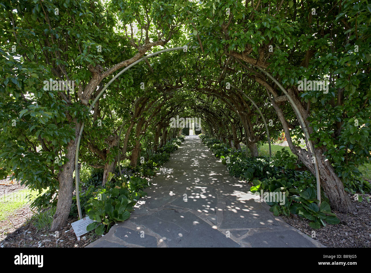 Carrick Hill garden path Banque D'Images